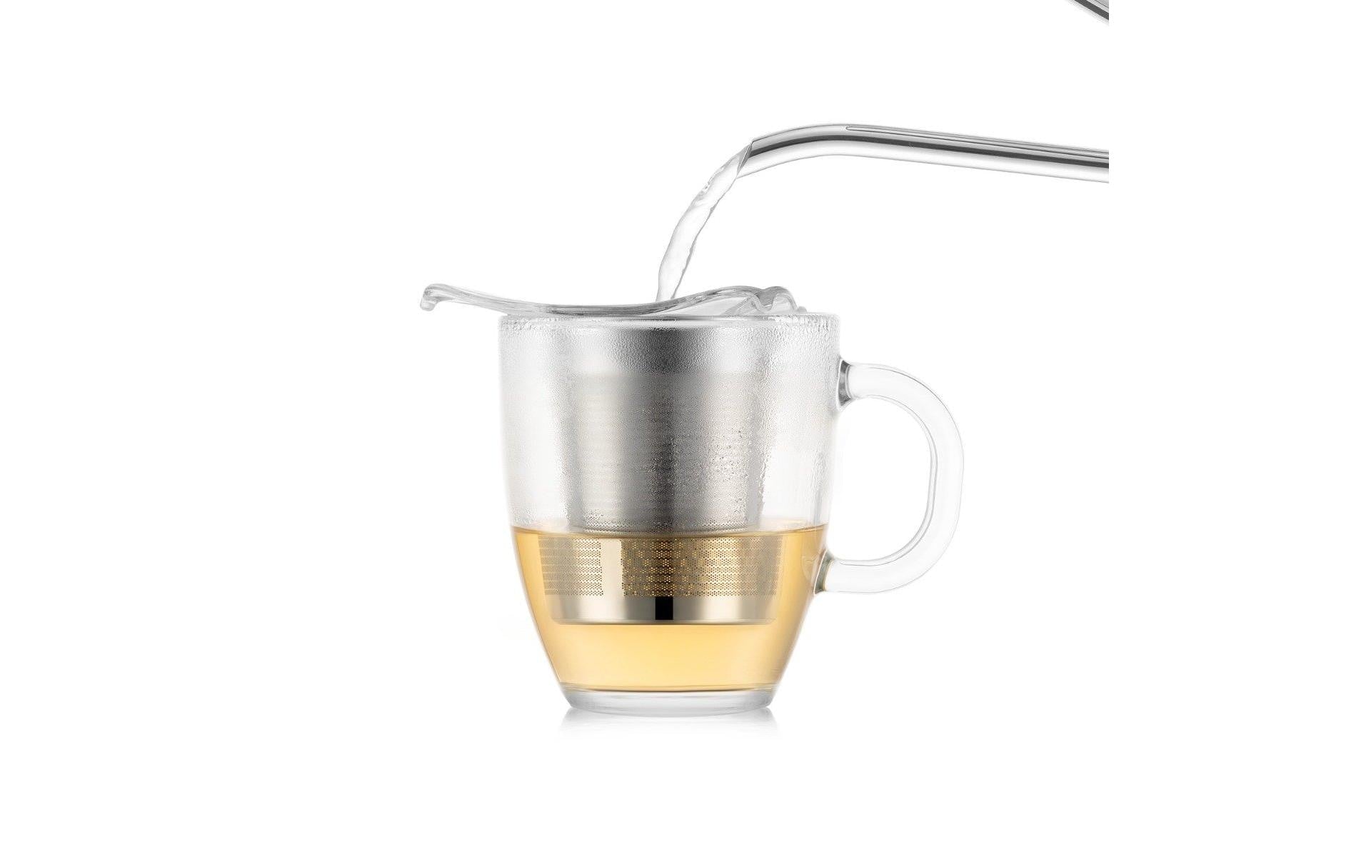 Bodum Yo-Yo Glastasse – 0,35 l, Glas, Transparent, Henkel, Edelstahlfilter