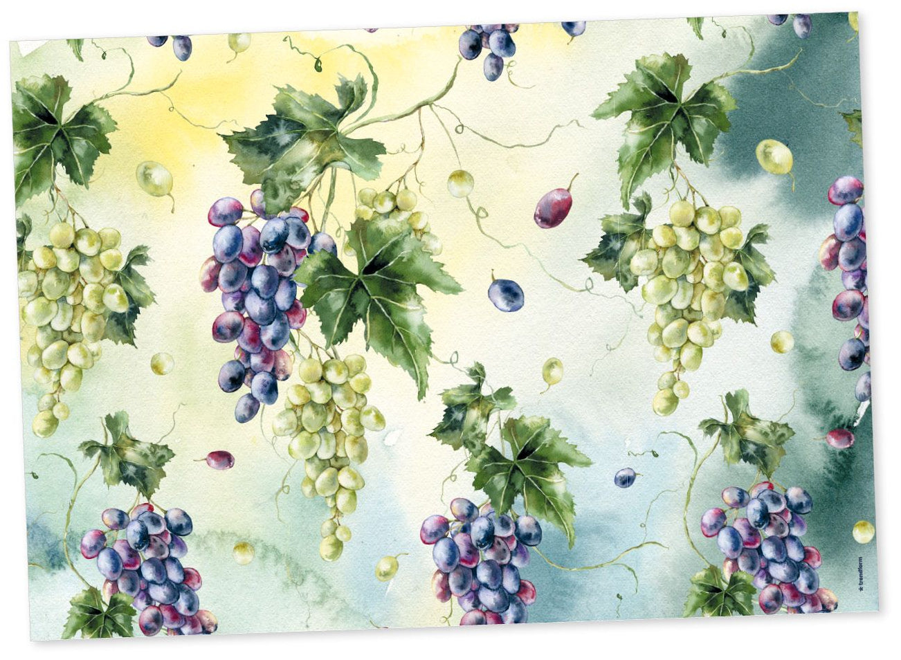 Trendform Tischset – 29,7×42 cm, 6er-Pack, Papier, Mediterrania, FSC