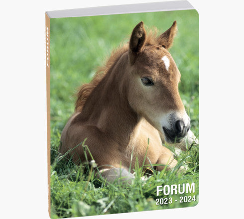 Exacompta Forum Lovely – Schulagenda 2026/27, 1 Tag/1 Seite, 12,0 × 13,2 cm, Französisch