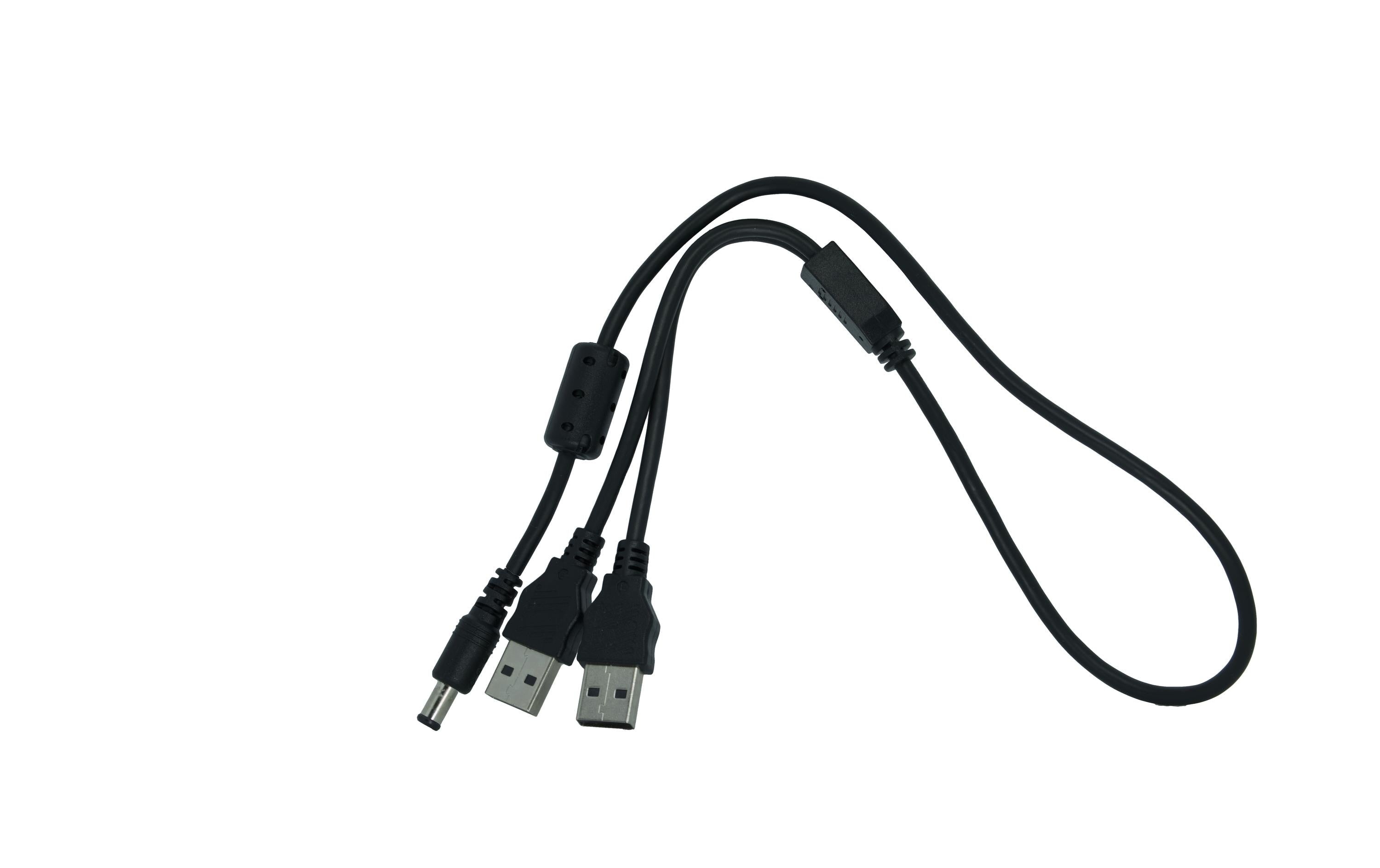 Silex USB Y-Kabel, USB-A auf 2×USB-A – USB 2.0 (480 Mbit/s) – 0,5 m – Schwarz – für Silex BR-500AC