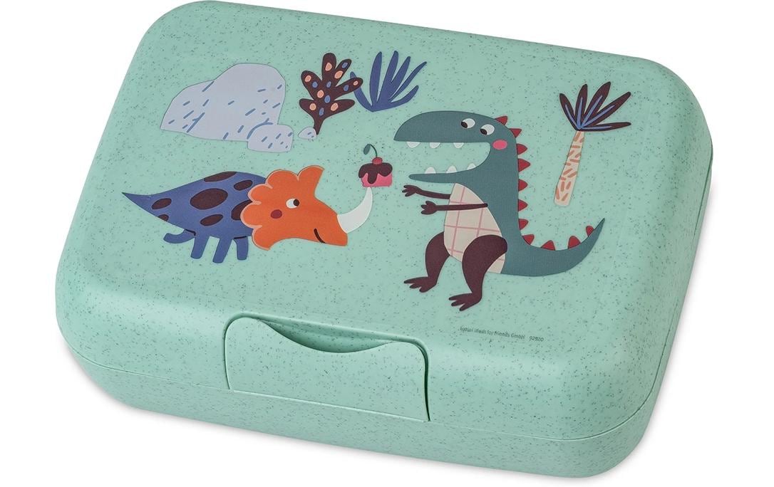 Koziol – Lunchbox, 19 × 13,5 × 6,5 cm, Biokunststoff, grün, mit Trennschale