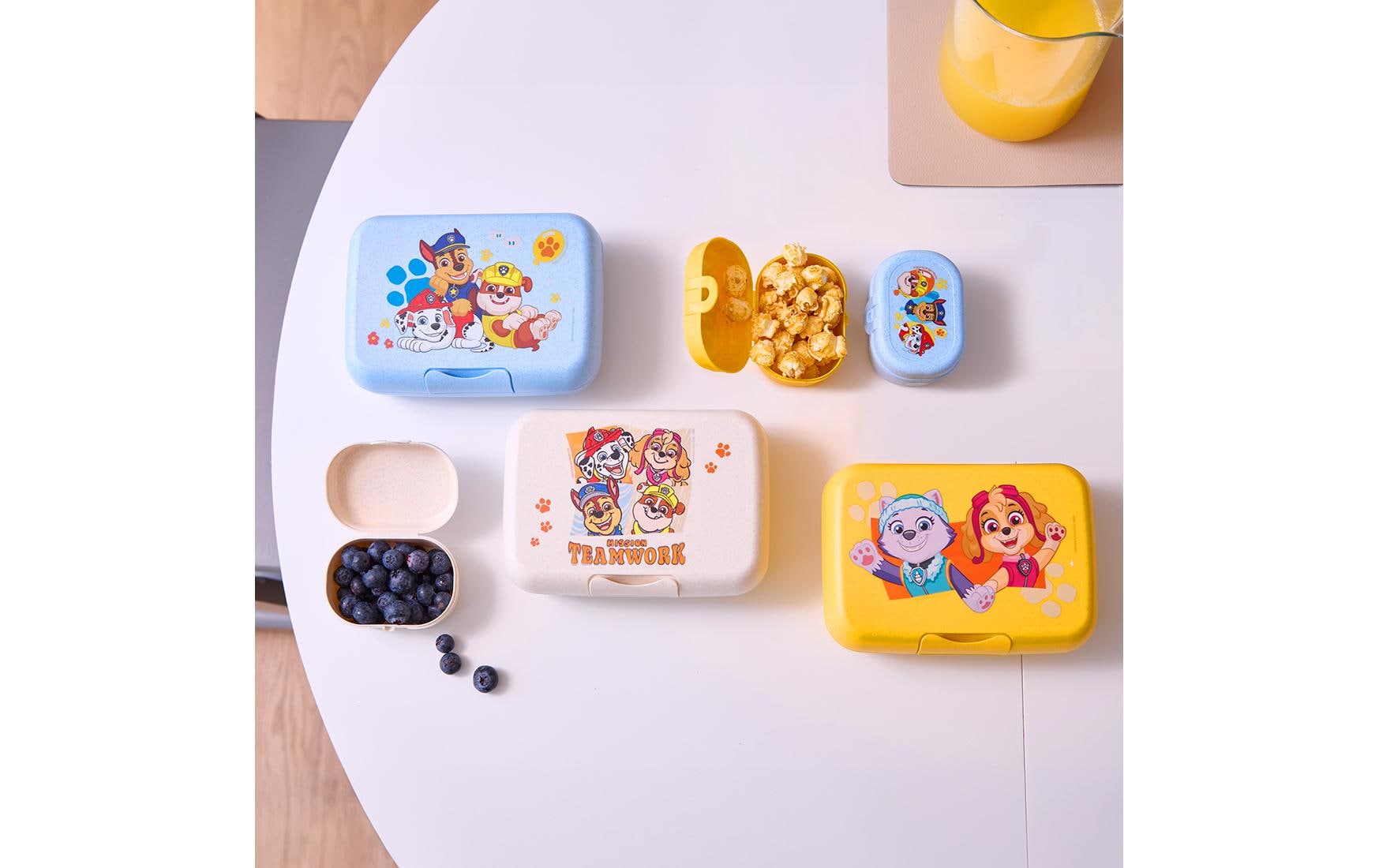 Koziol – Lunchbox, 19 × 13,5 × 6,5 cm, Biokunststoff, hellblau, mit Trennschale