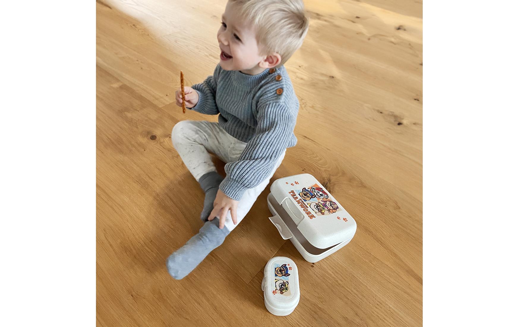 Koziol – Lunchbox 19 × 13,5 × 6,5 cm, Biokunststoff, mehrfarbig, Paw Patrol, mit Trennschale