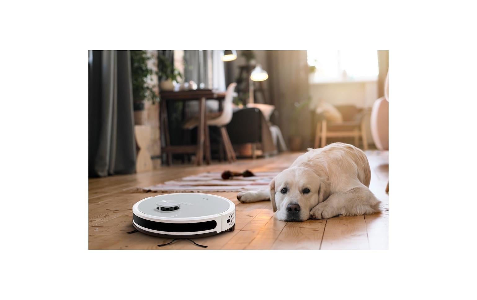 MEDION Robotersauger X21 – 0,6 l, Akkubetrieb, 3,0 kg, für Amazon Alexa