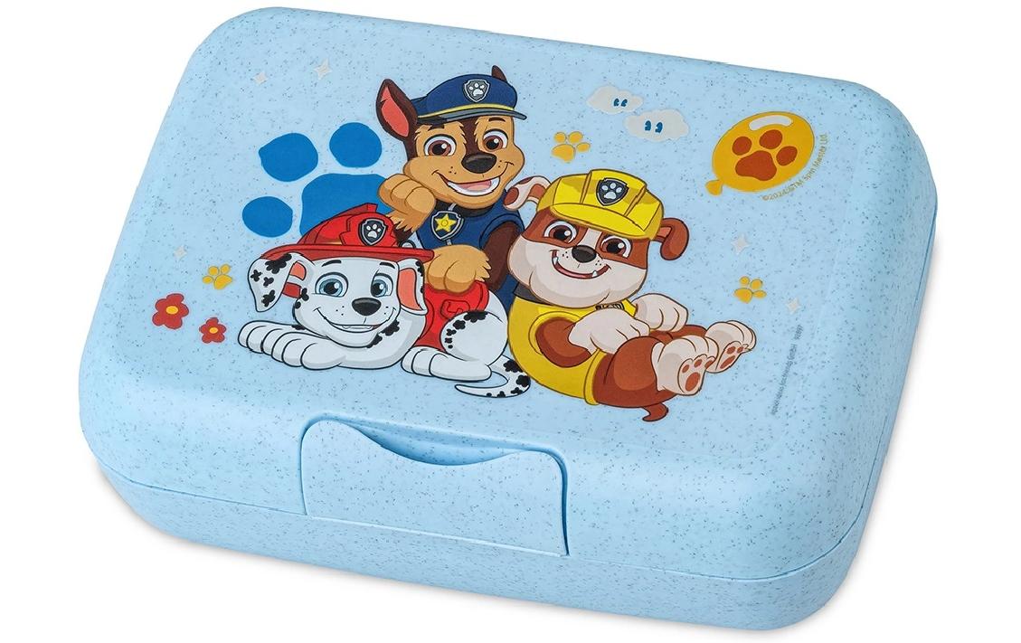 Koziol – Lunchbox, 19 × 13,5 × 6,5 cm, Biokunststoff, hellblau, mit Trennschale