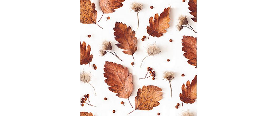 Braun + Company Soft Autumn Servietten – 33 × 33 cm, 3-lagig – 20 Stück