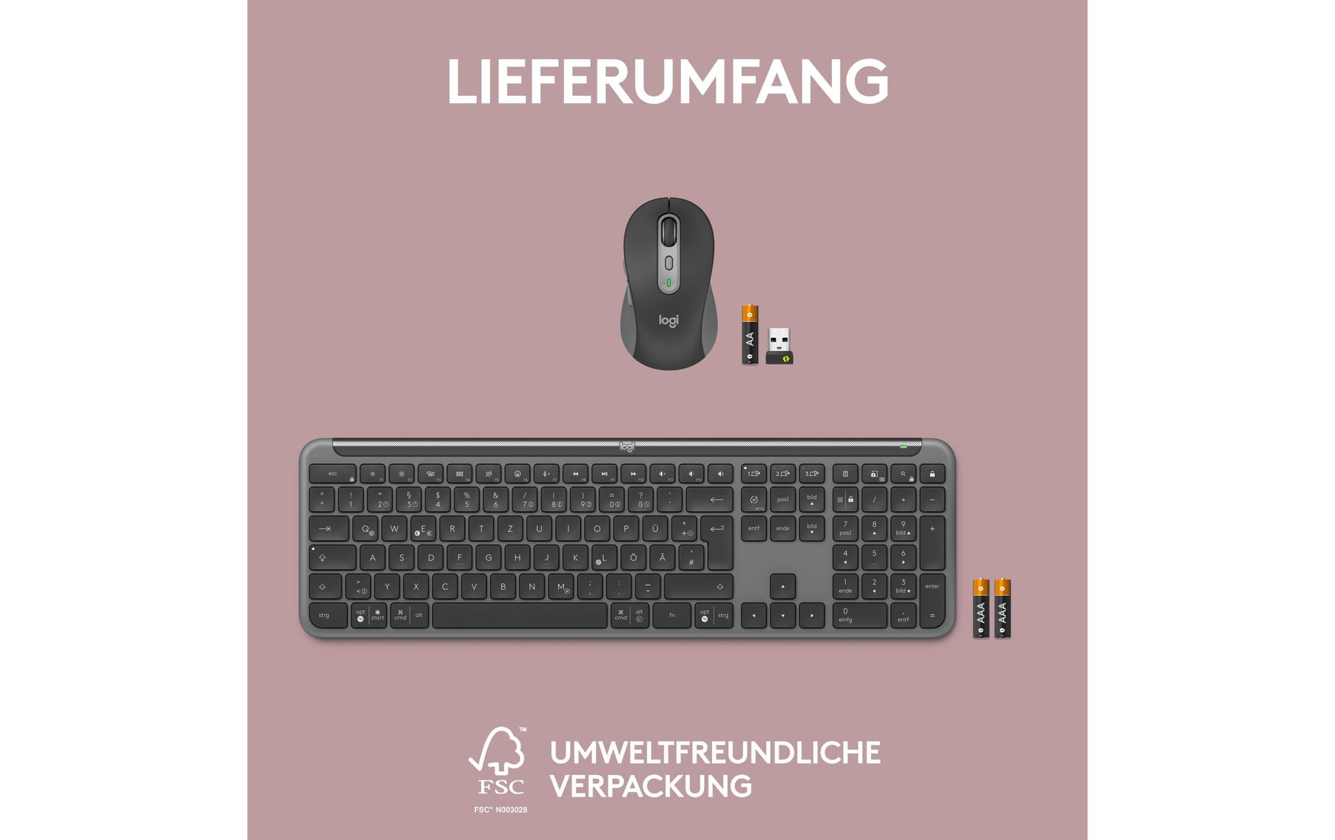 Logitech Slim Combo MK950 – Tastatur, CH-Layout (DE-CH), Grau