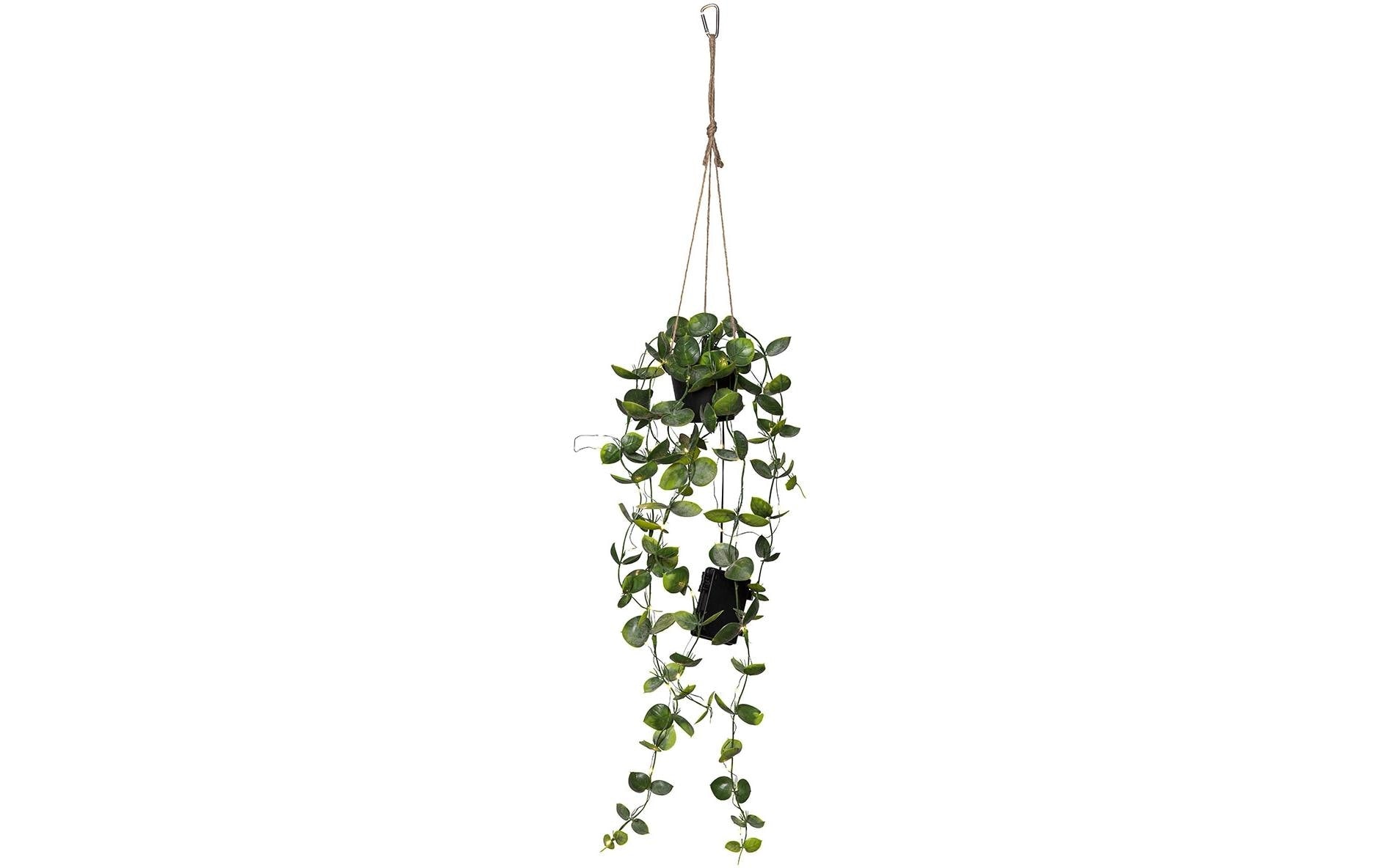 Star Trading Künstliche Pflanze – 60 cm – Kunststoff, Grün, 35 LEDs, Timer