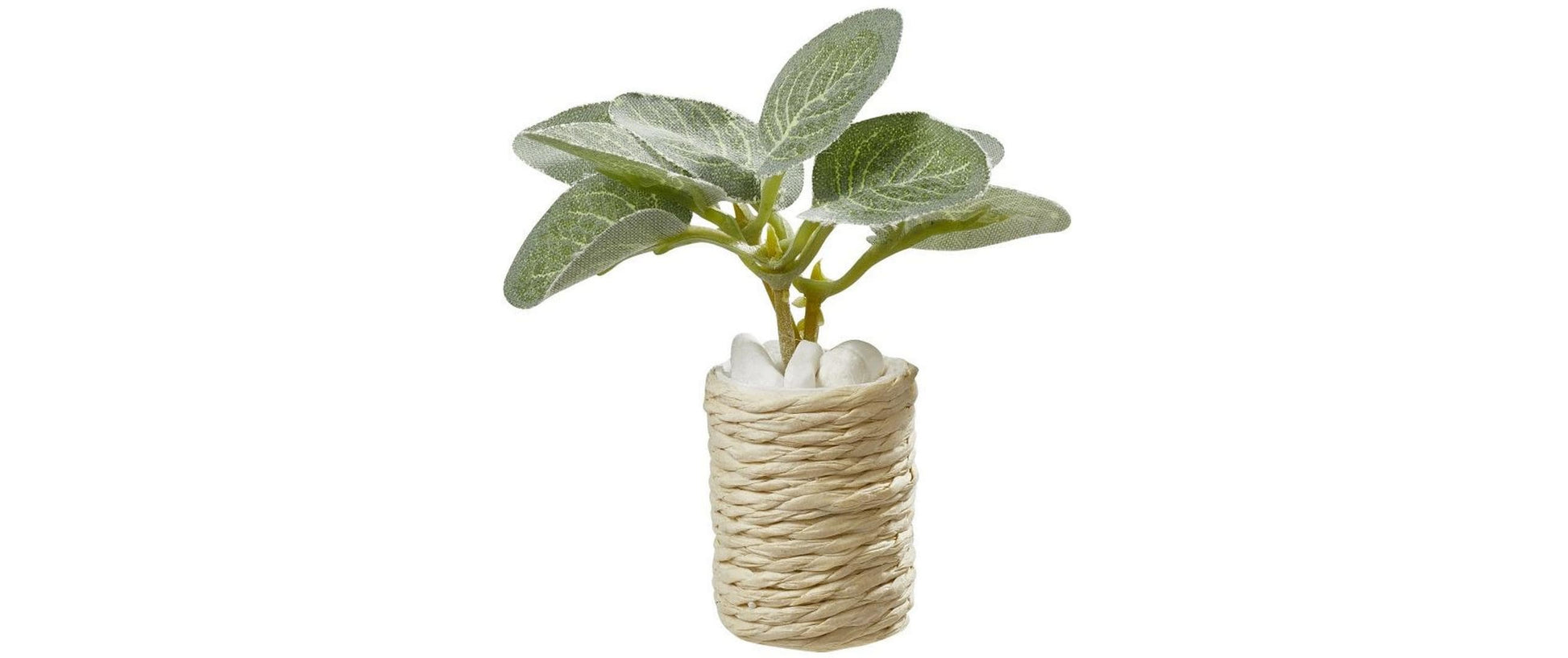 HobbyFun Mini-Figur Zimmerpflanze, Polyester, 5,5 × 5,5 cm, 1 Stk