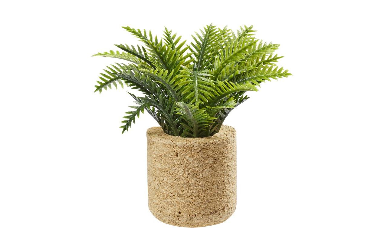 HobbyFun Materialien für Bastelset, Kunststoff, Grün, 6,5 × 6,5 × 6,5 cm, 1 Stück, Palm-Pflanze