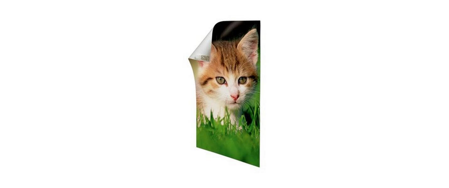 3M Command Montagepad – 15 × 50 mm, weiss, bis 0,4 kg, 12 Stk., für Holz