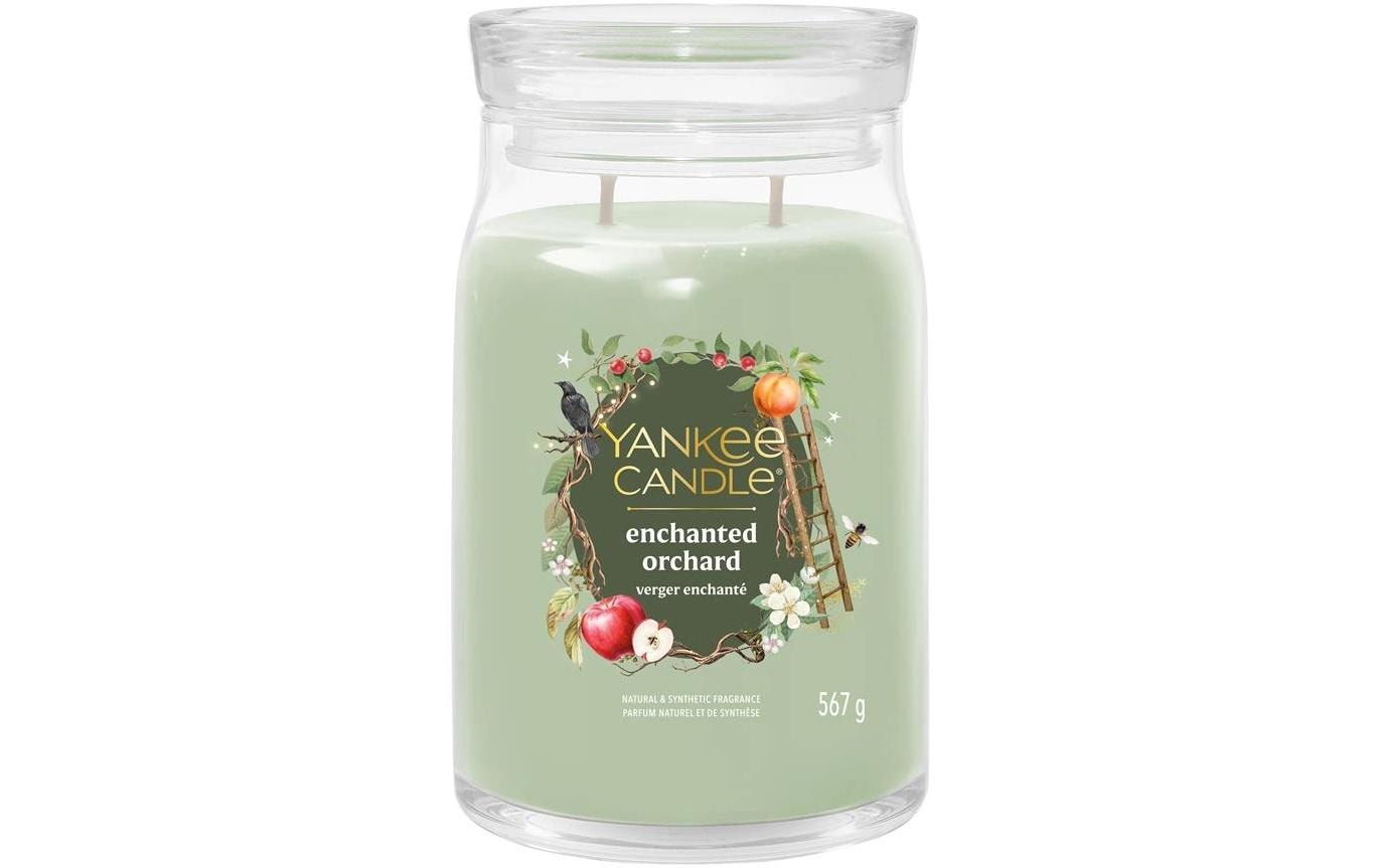 Yankee Candle Duftkerze – Enchanted Orchard – 567 g – 9,9×15 cm (D×H) – Grün