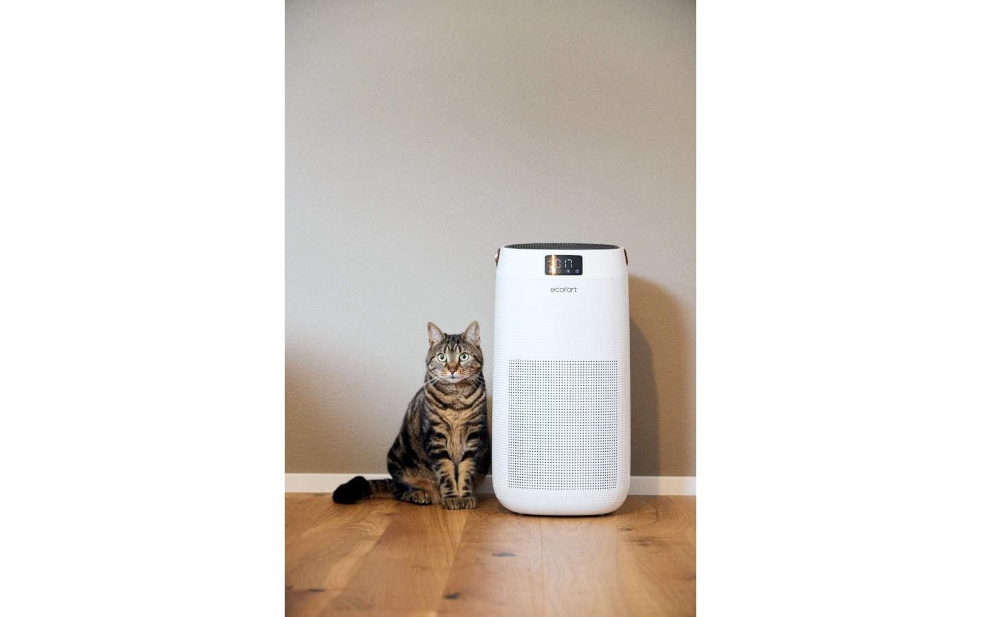 Ecofort Luftreiniger ecoQ CleanAir 400+ – CADR 500 m³/h, bis 80 m², HEPA 13, 60 dB