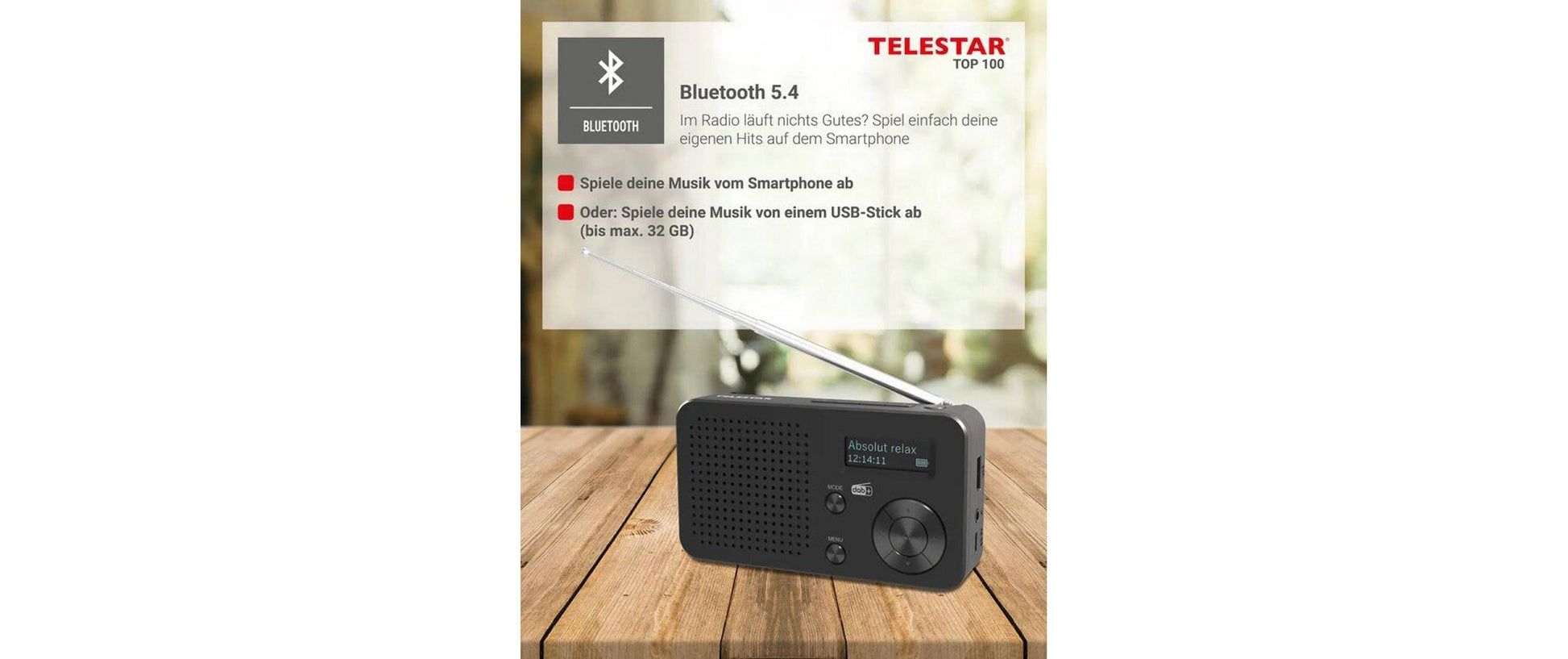 Telestar TOP 100 – DAB-/Internetradio – DAB+, UKW, Bluetooth, Akkubetrieb – Schwarz