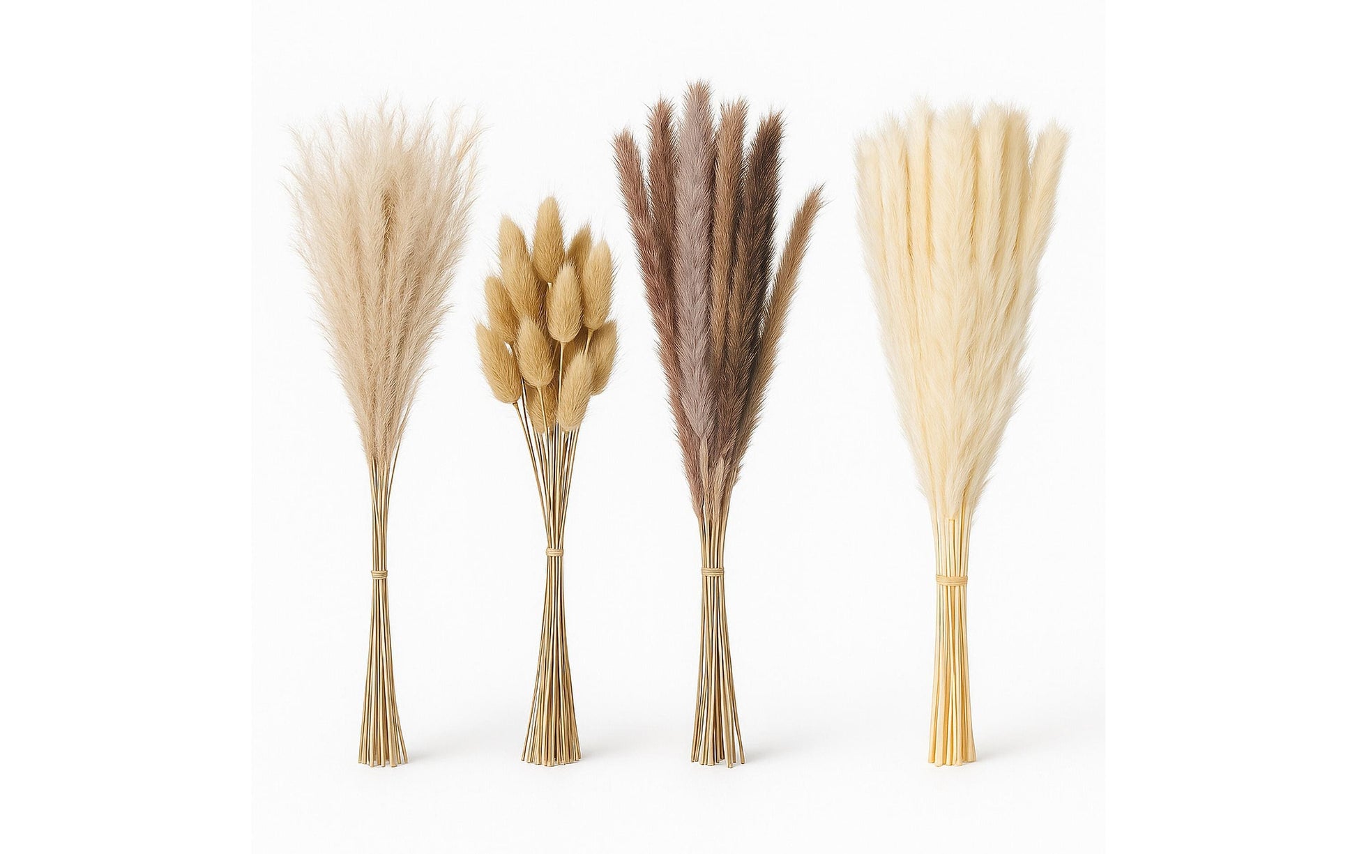 Relaxdays Trockenblumen – Mehrfarbig – 41 cm – 144er-Pack