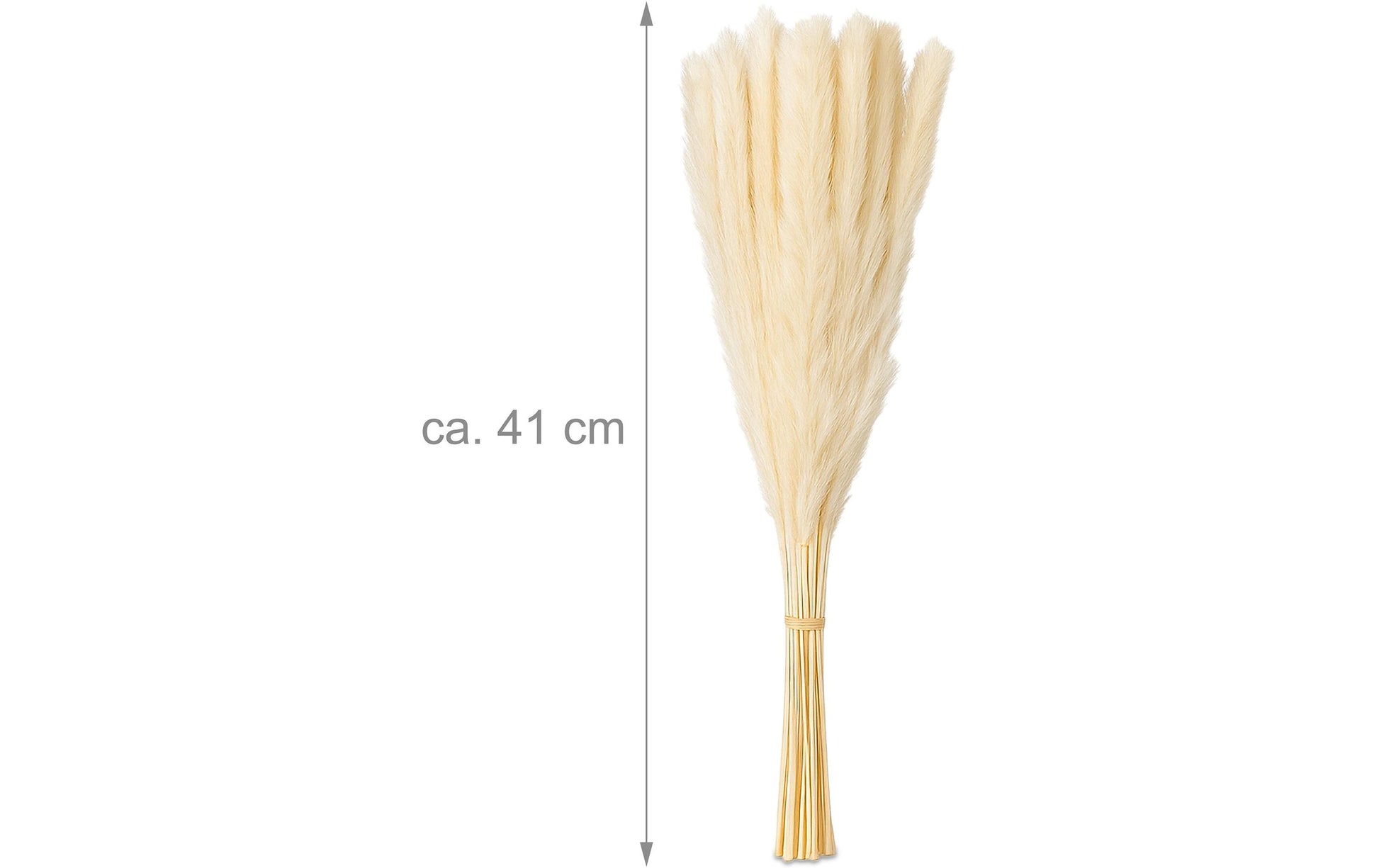 Relaxdays Trockenblumen – Mehrfarbig – 41 cm – 144er-Pack