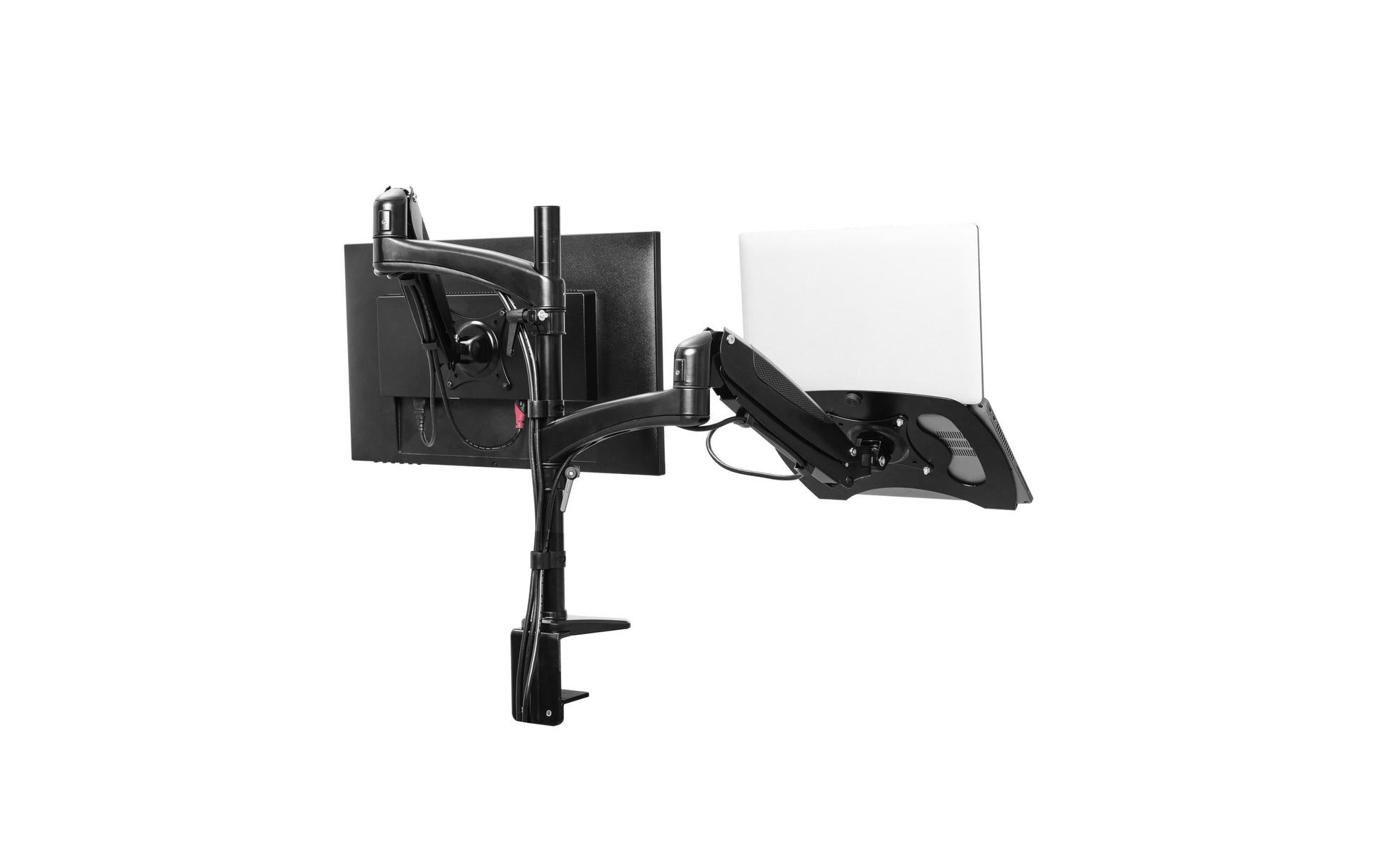 Trust Monta – Monitorarm, Dual, Tischklemme, bis 32", VESA 75 × 75/100 × 100 mm, 16 kg, höhenverstellbar