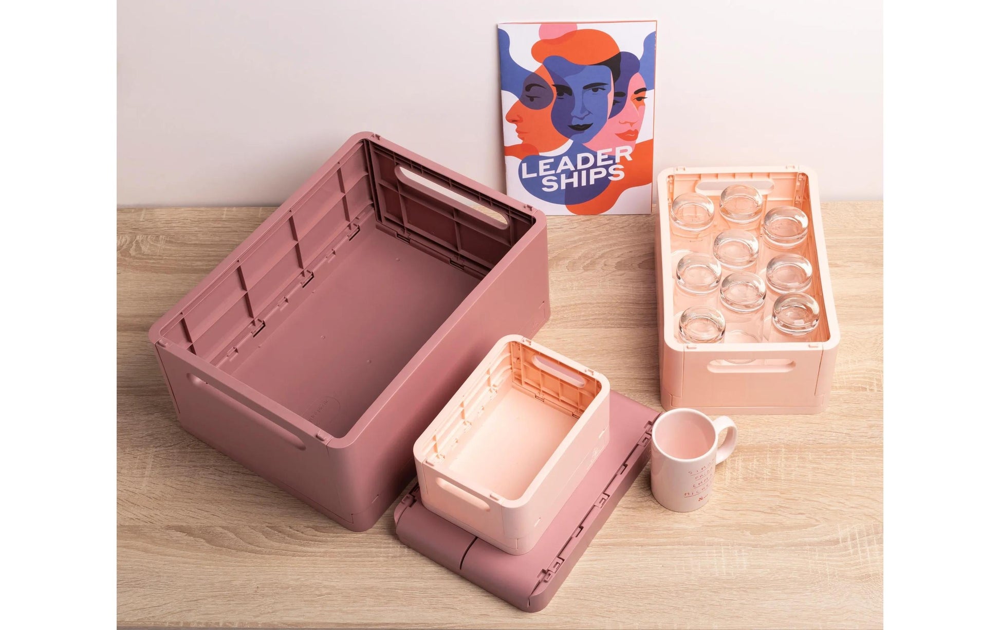 Exacompta Aufbewahrungsbox – für A6+, klappbar, hellrosa, Polypropylen (PP), B 188 × H 95 × T 138 mm