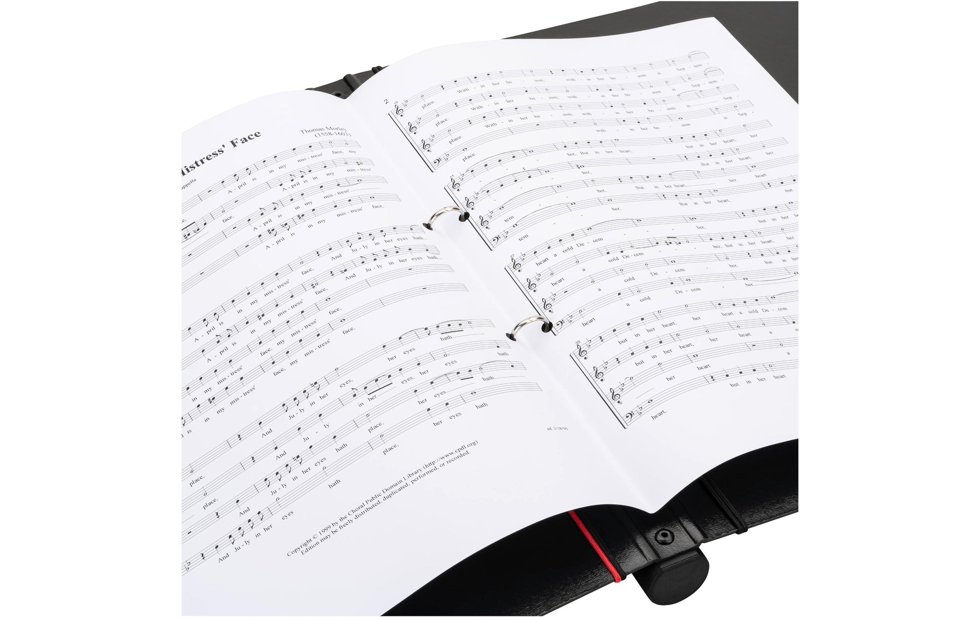 Falken Zeigebuch Gloria – 2-Ring Mechanik – Schwarz, Karton, FSC