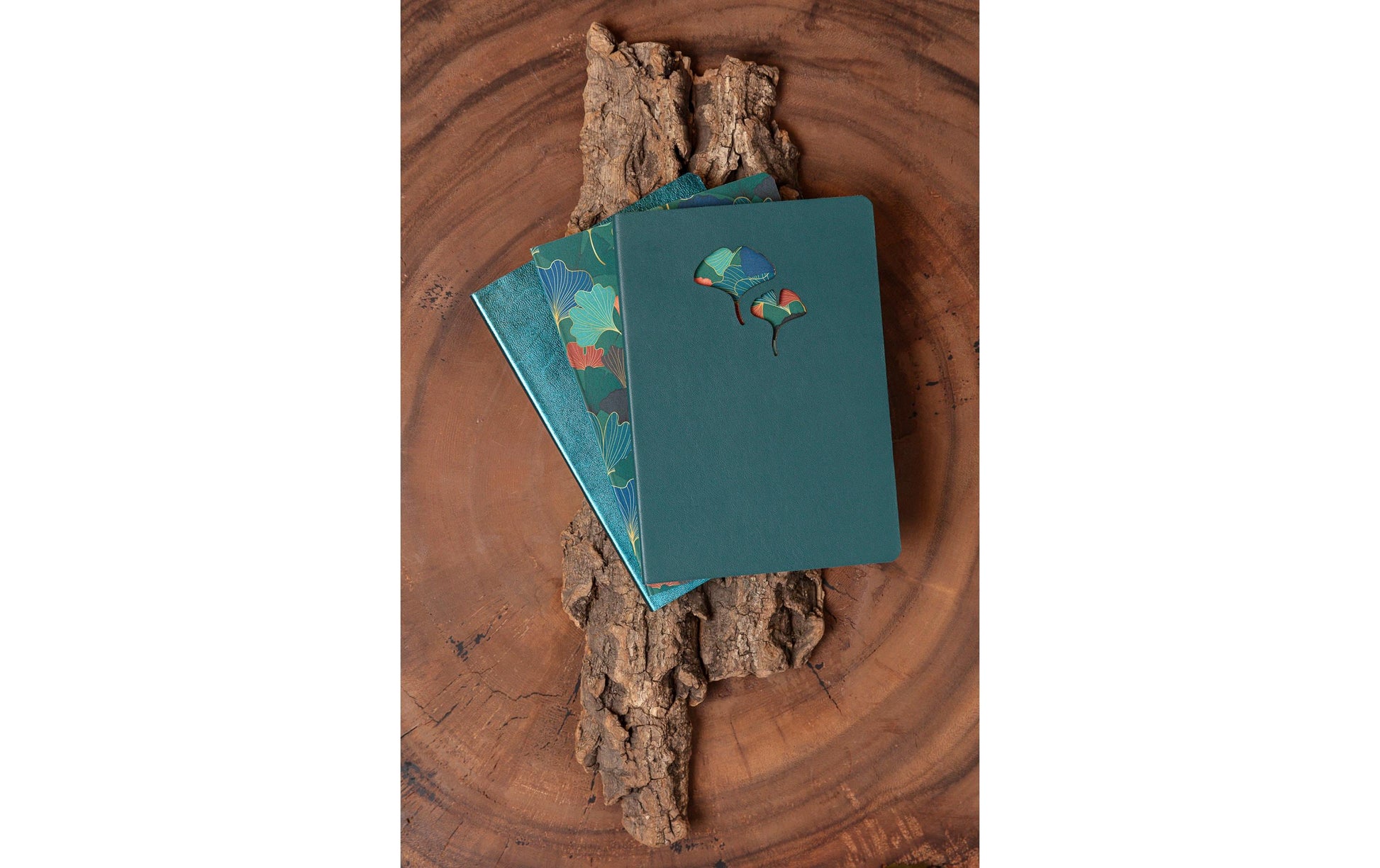 Clairefontaine Notizbuch, A5, liniert, Fadenheftung, Softcover, 144 Seiten, 90 g/m² – grün, Blättermotiv