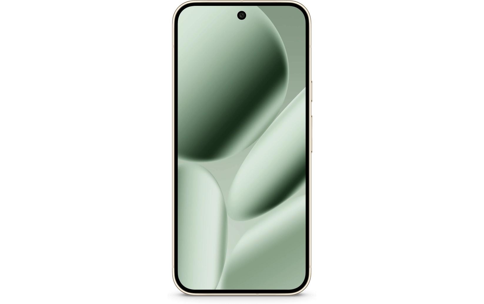 Google Pixel 10 Pro XL – 6,8" – 256 GB – Jade