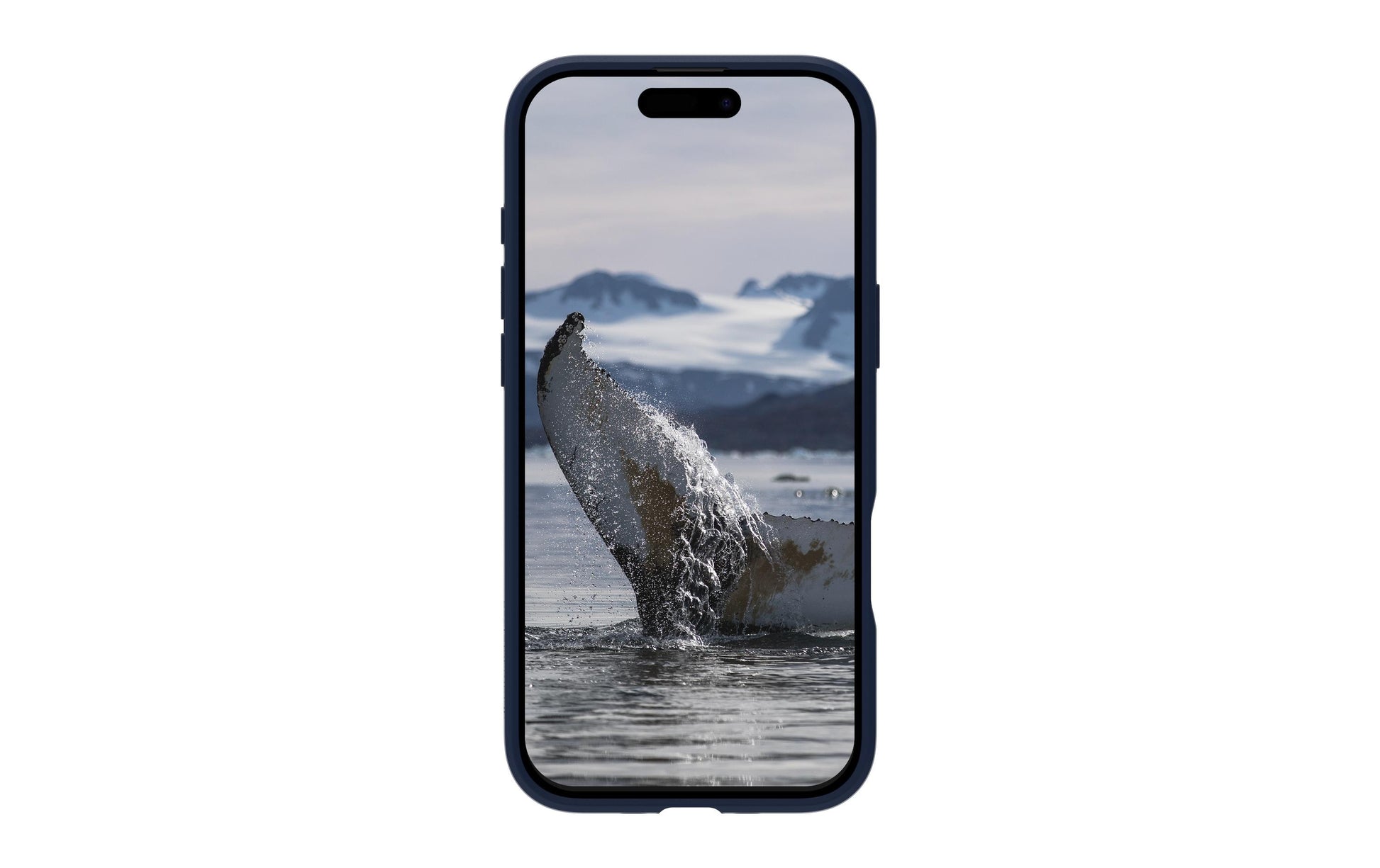 dbramante1928 Greenland Pro MS – Backcover – für Apple iPhone 17 Air, Dunkelblau, kabellos ladbar