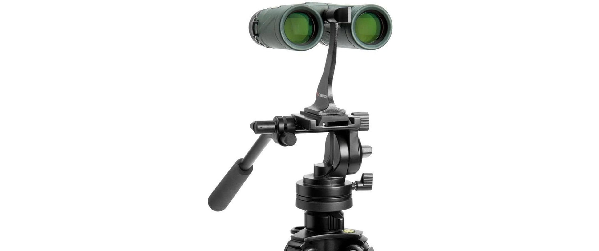Celestron Kompaktfernglas Nature DX – 8×32 mm, grün