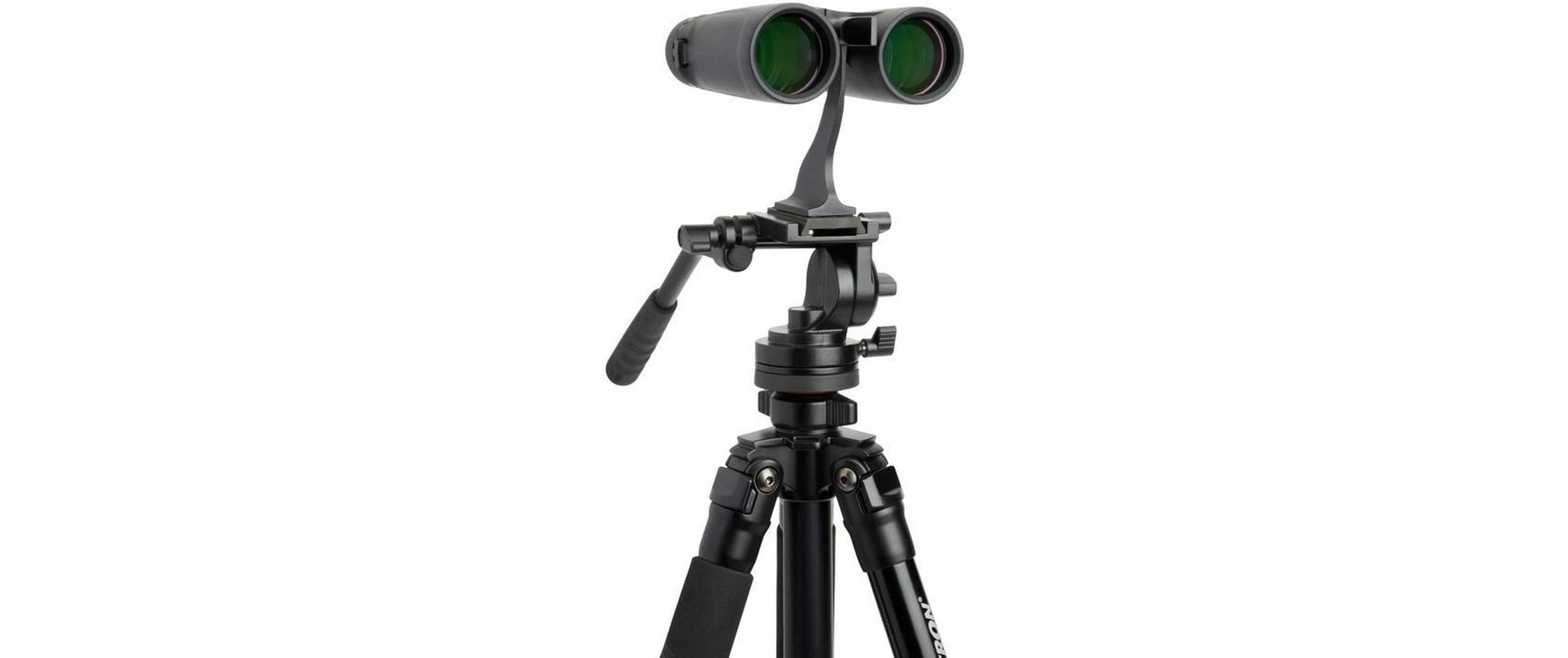 Celestron Kompaktfernglas Outland X – 8×42 mm, schwarz