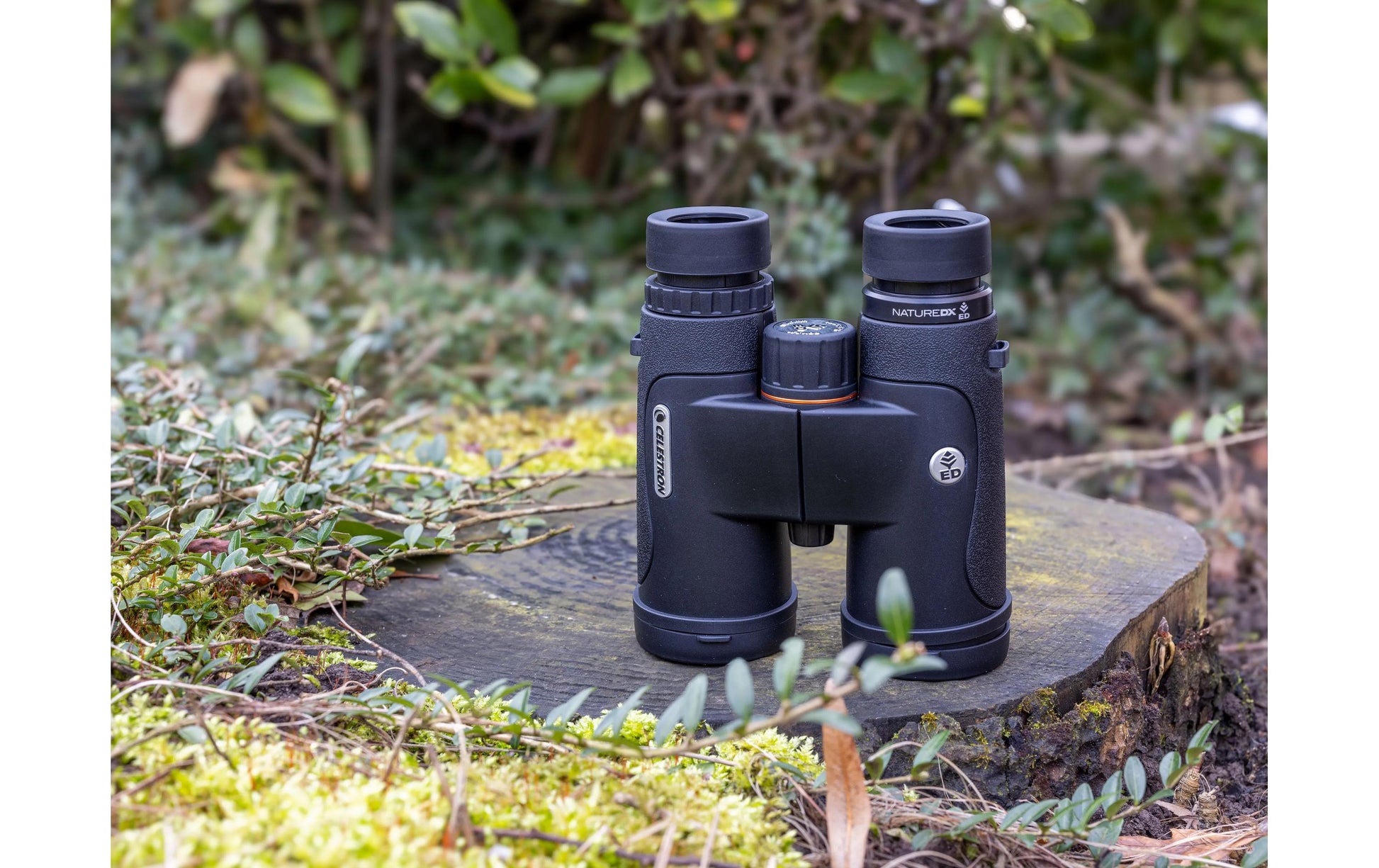 Celestron Kompaktfernglas Nature DX – 10×32 mm, schwarz-grün