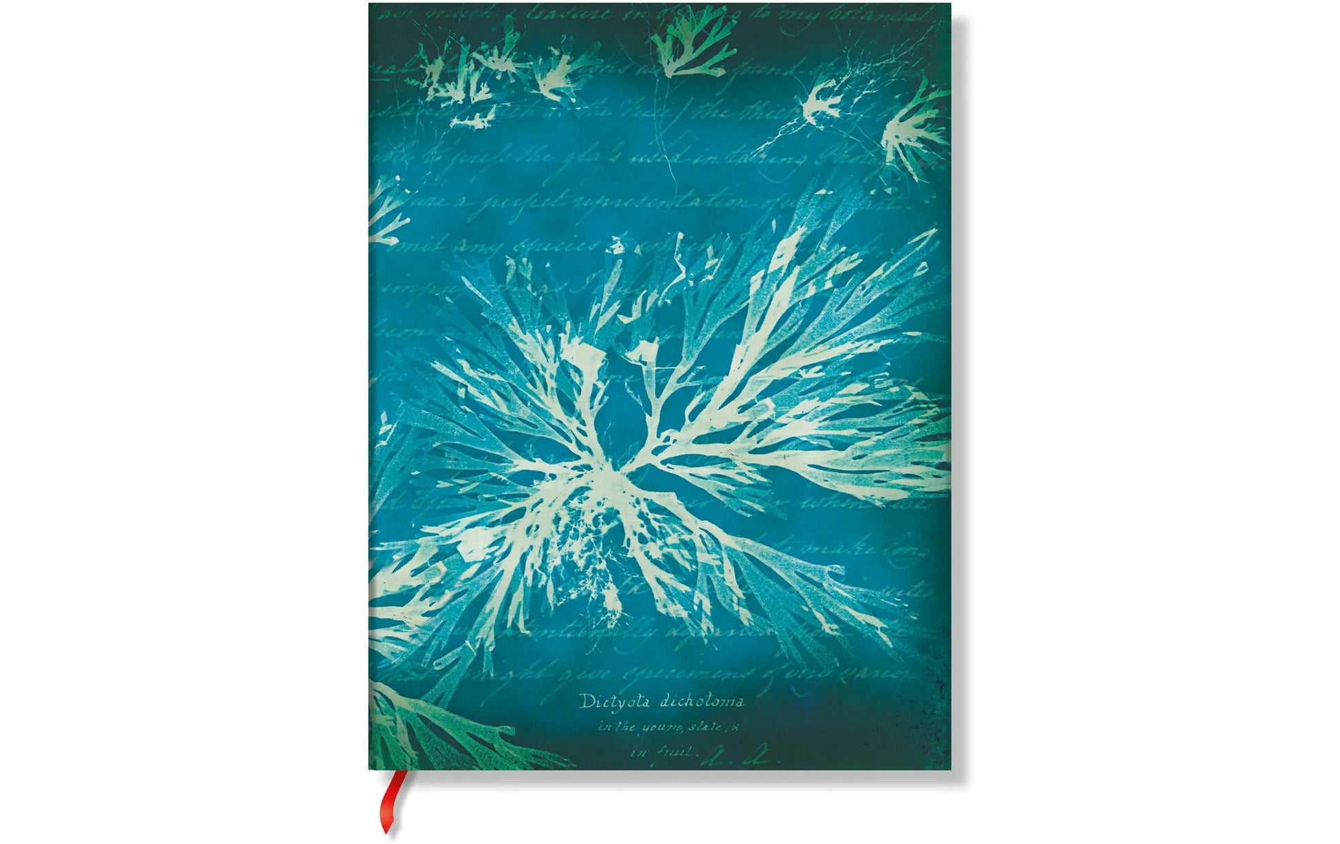 Paperblanks Notizbuch, 175 × 122 mm, blanko, gebunden, Hardcover, 80 Seiten – Meeresblumen (grünblau)