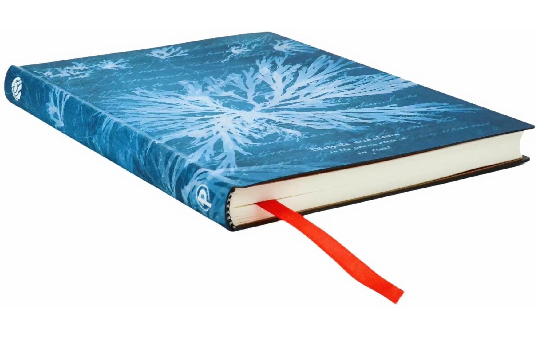 Paperblanks Notizbuch, 175 × 122 mm, blanko, gebunden, Hardcover, 80 Seiten – Meeresblumen (grünblau)