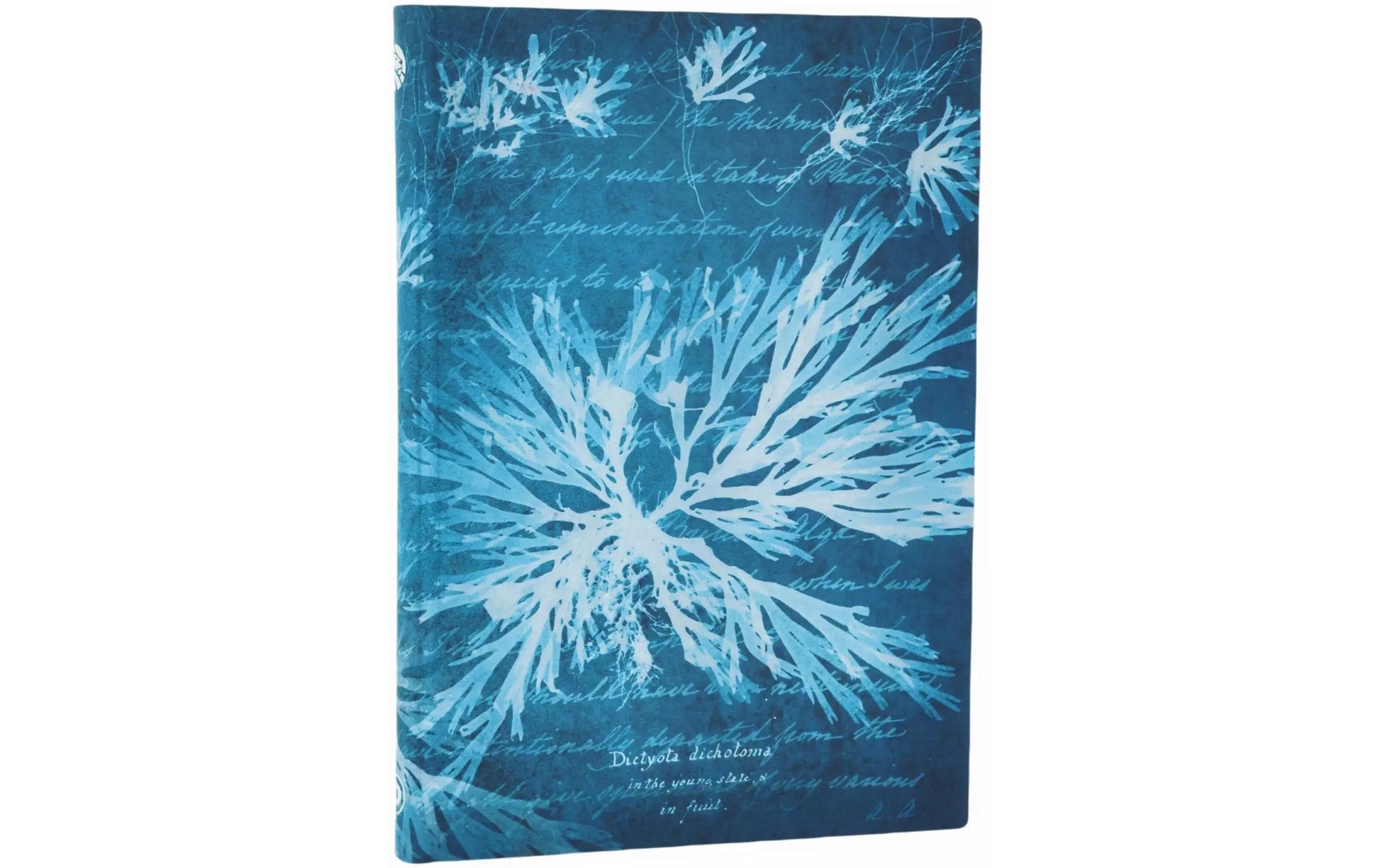 Paperblanks Notizbuch, 175 × 122 mm, blanko, gebunden, Hardcover, 80 Seiten – Meeresblumen (grünblau)