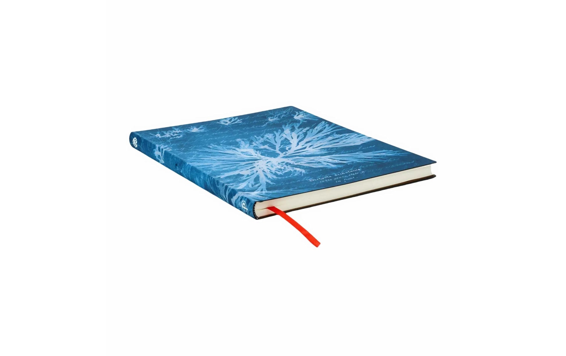 Paperblanks Notizbuch, 175 × 225 mm, liniert, gebunden, Hardcover, 80 Seiten – Meer-Motiv, grünblau
