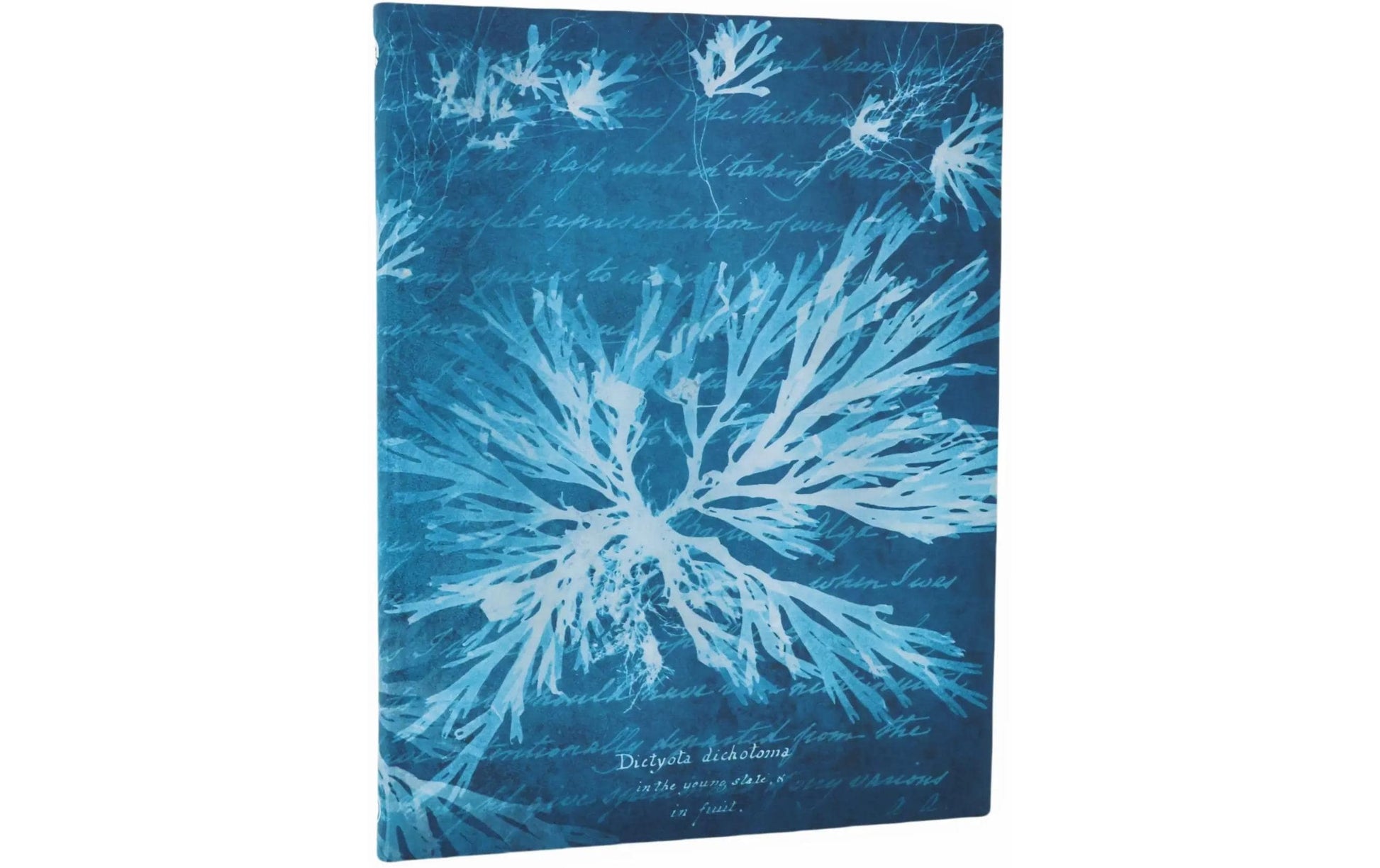 Paperblanks Notizbuch, 175 × 225 mm, liniert, gebunden, Hardcover, 80 Seiten – Meer-Motiv, grünblau