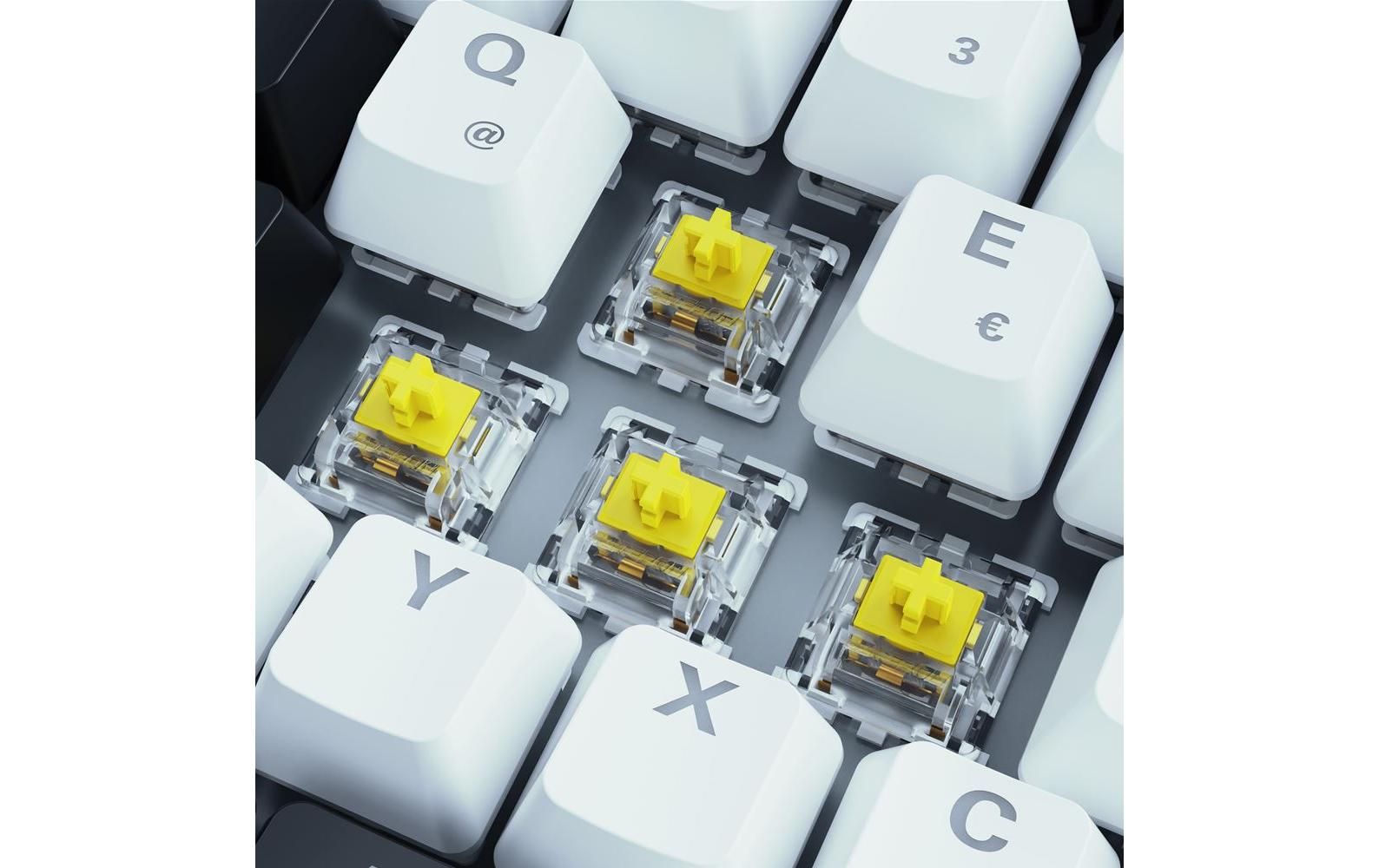 Sharkoon SKILLER SGK50 S3 – Gaming-Tastatur 75% – Mechanisch – Kabelgebunden (USB-C) – QWERTZ (DE) – RGB