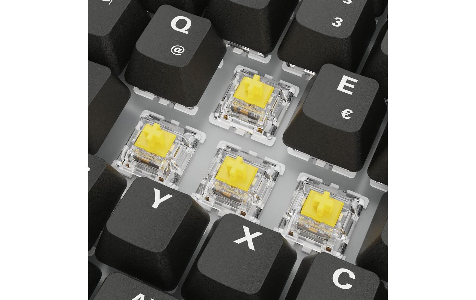 Sharkoon SGK50 S3 PBT – Gaming-Tastatur 75% – Mechanisch, RGB – Verkabelt USB-A – QWERTZ (DE) – Schwarz