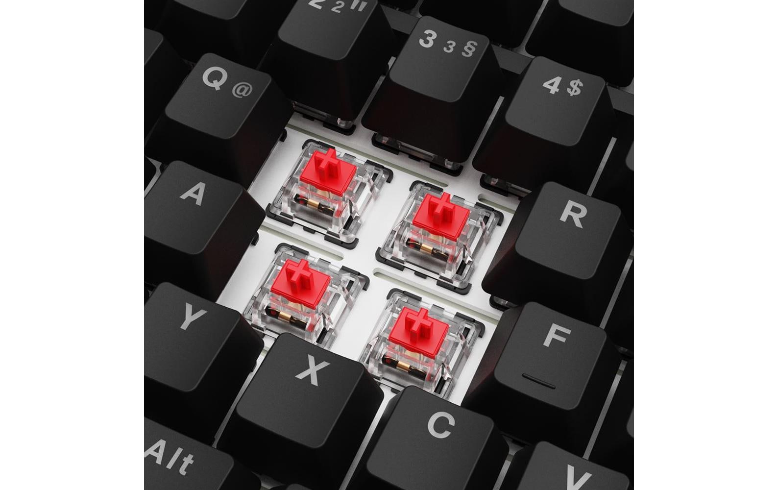 Sharkoon SGK25 – Tastatur 75% – Mechanisch – Verkabelt – QWERTZ (DE) – RGB – Ohne Ziffernblock – Schwarz
