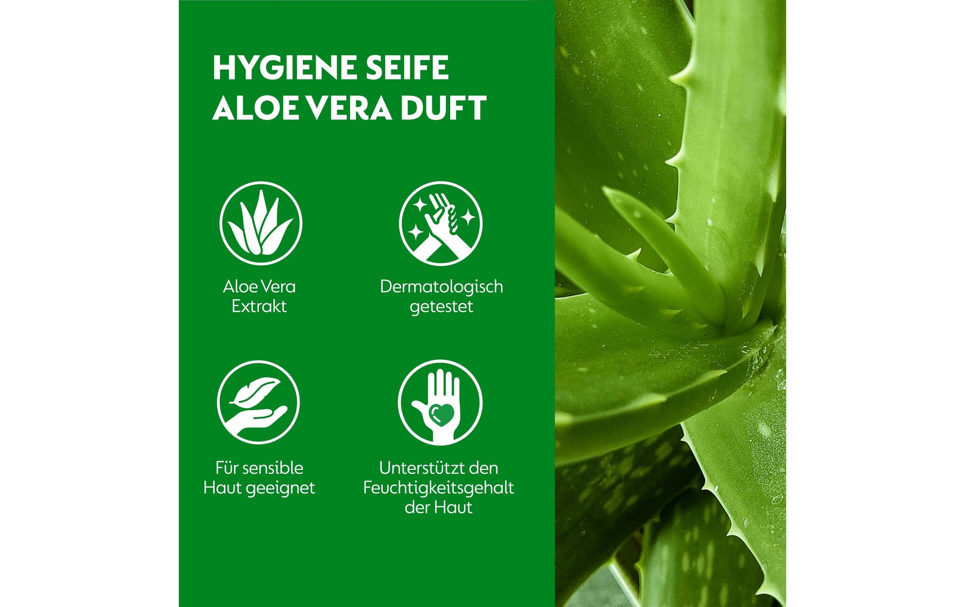 Dettol Flüssige Handseife – Aloe Vera – Nachfüllbeutel – 250 ml