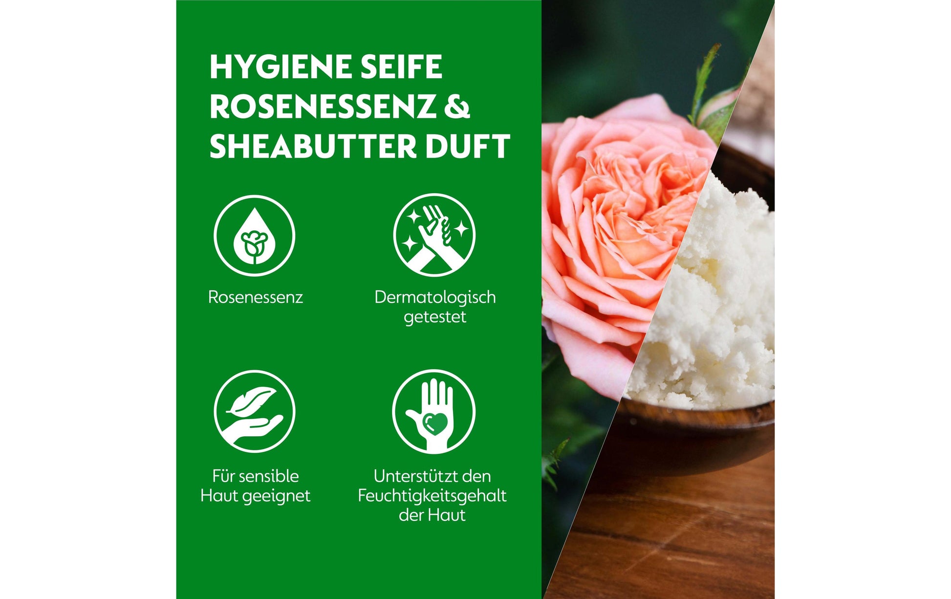 Dettol Flüssige Handseife – Rose – Nachfüller – 250 ml