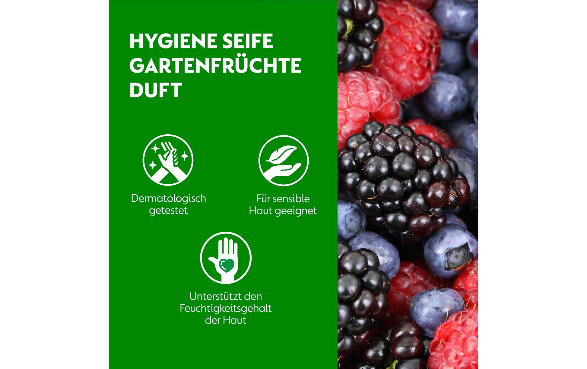 Dettol Flüssige Handseife – antibakteriell, Beeren – Nachfüllbeutel – 250 ml