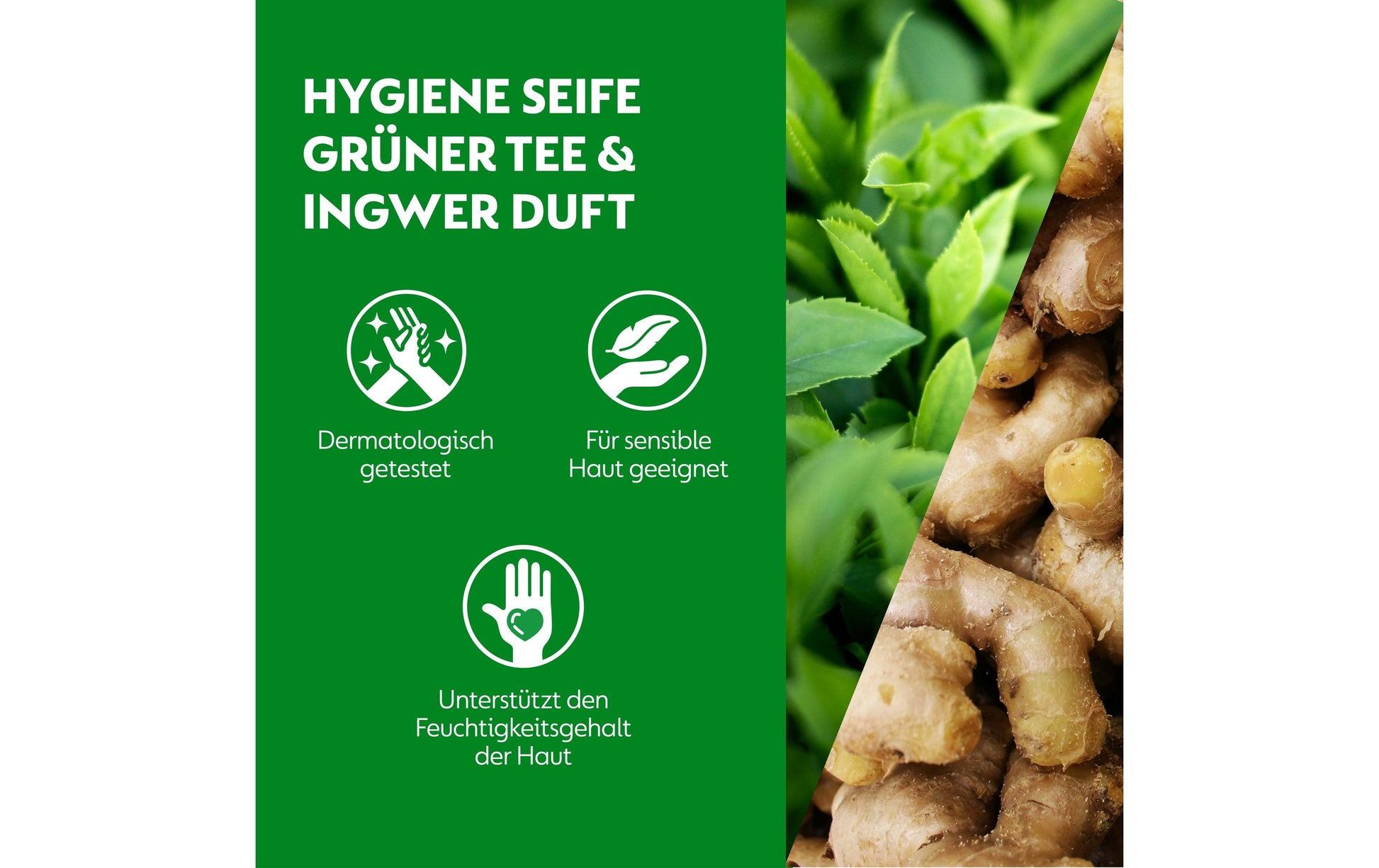 Dettol Flüssige Handseife – Nachfüllbeutel für No Touch – Grüner Tee – 250 ml