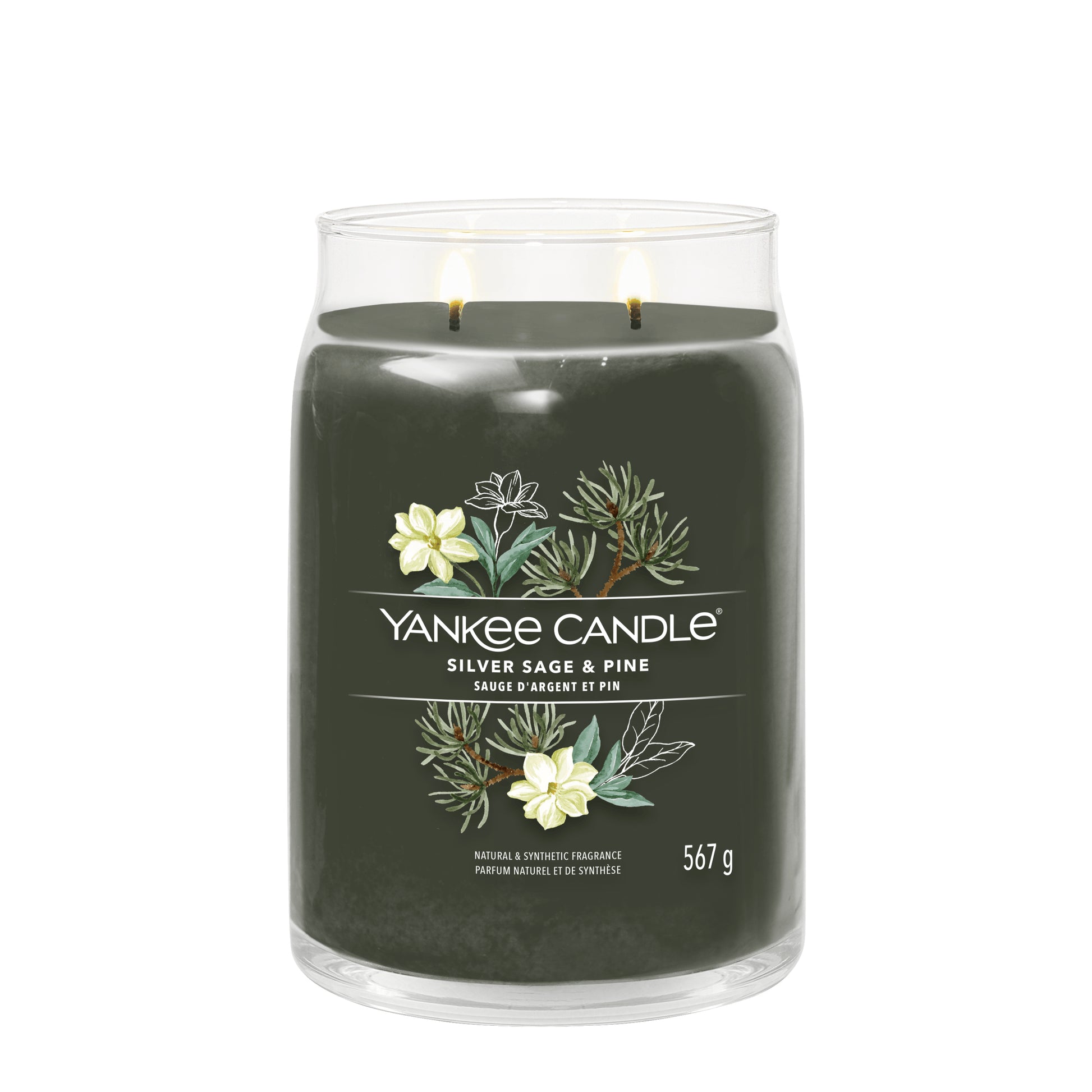 Yankee Candle Duftkerze Silver Sage & Pine, grün, Glas, Ø 9,4 × 15,7 cm, 1 Stück