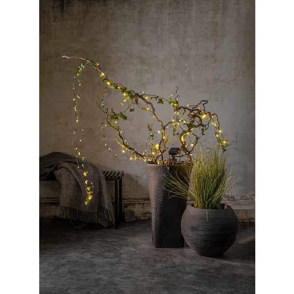 Star Trading Lichterkette Dew Drop Micr – 7,4 m – Warmweiss, 2700 K – IP44 – Solarbetrieb – 100 LEDs