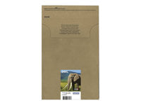 Epson Tintenpatronen-Multipack 24XL