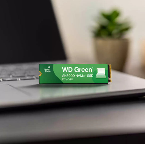 Western Digital Green SN3000 1 TB – für M.2 2280, NVMe, PCIe 4.0