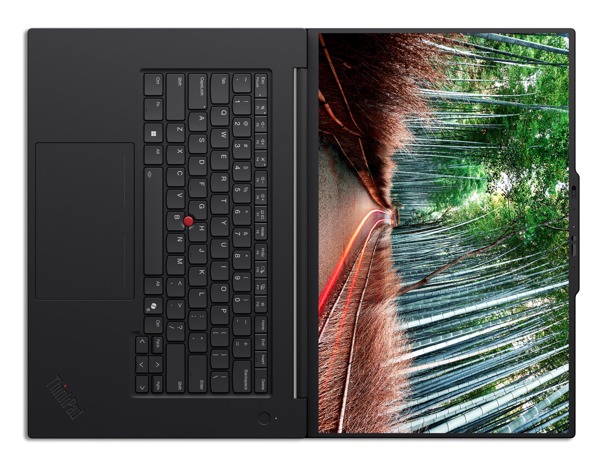 Lenovo ThinkPad P1 Gen 8 – Mobiler Arbeitsplatz, Windows 11 Pro