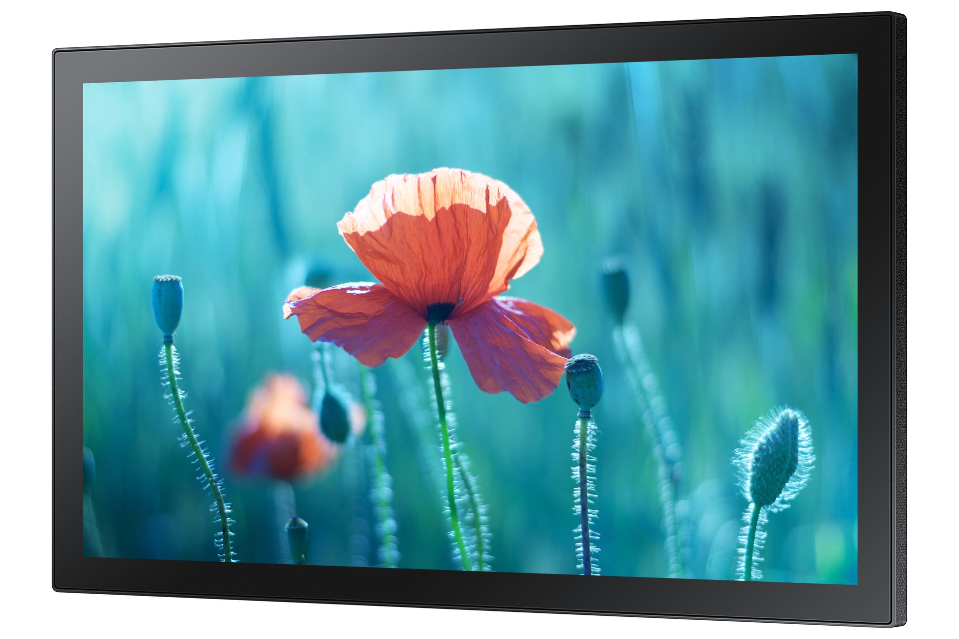 Samsung QB QB13R-T II – 13" Full HD Interaktives Display, Touch, 500 cd/m², Tizen 4.0, Betrieb: 16/7