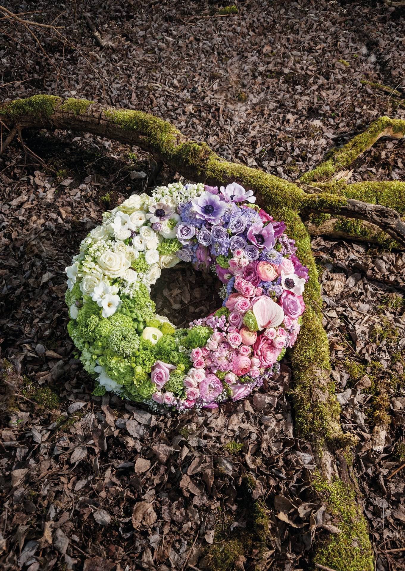 Opiflor Floraler Schaum, Grün, Ø 40 cm × 6 cm, 1 Stk., 113951