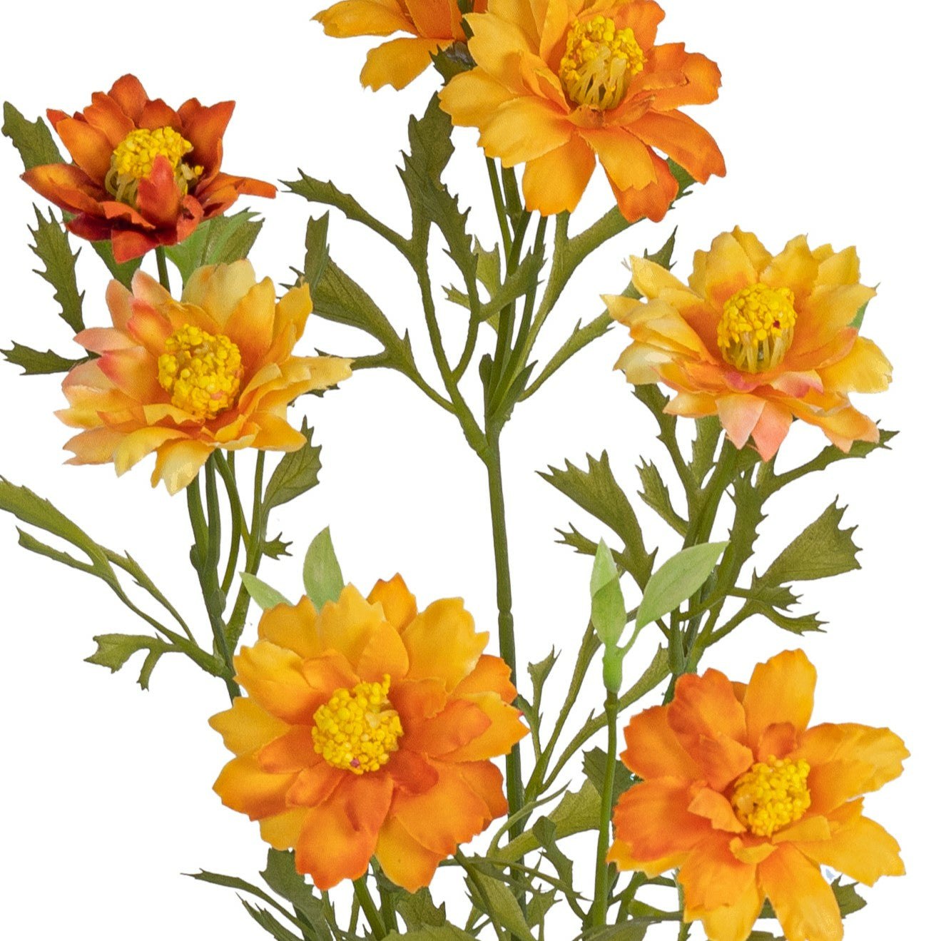 Botanic-Haus Blütenzweig – 68 cm – Kunststoff, Orange – 12er-Pack