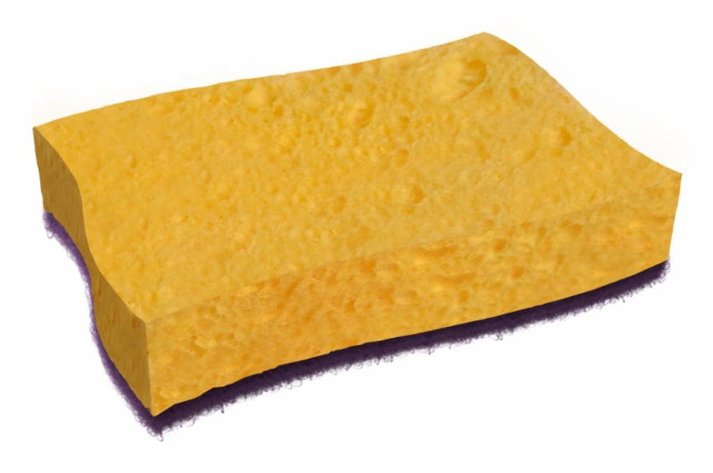 Scotch-Brite Naturschwamm – Rechteckig, für Grill, mehrfarbig, 2 Stk.